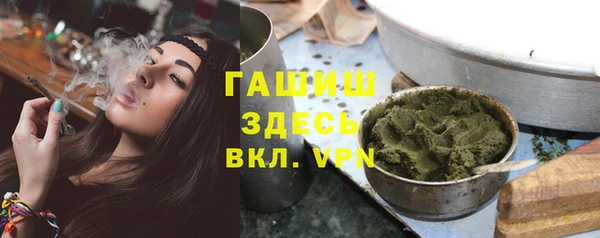 мдпв Гусь-Хрустальный