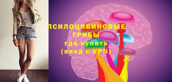 мдпв Гусь-Хрустальный