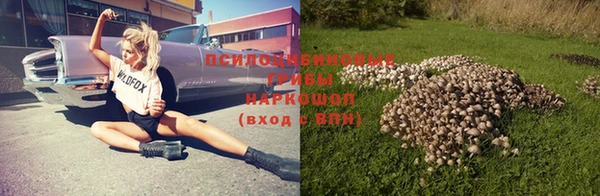 мдпв Гусь-Хрустальный