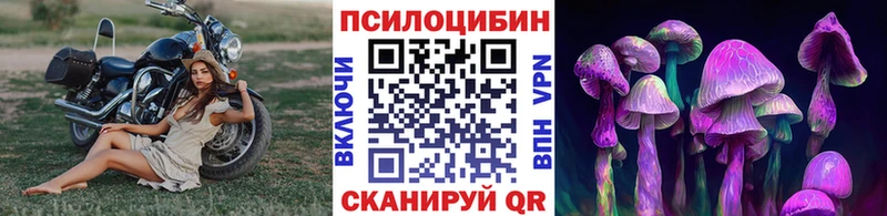Галлюциногенные грибы мухоморы  Купить  Могоча 