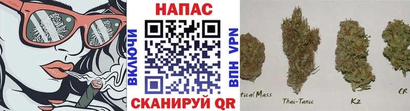 Купить закладки  Могоча  Каннабис White Widow 